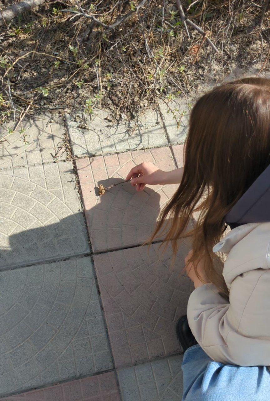 Алёна и лягушки